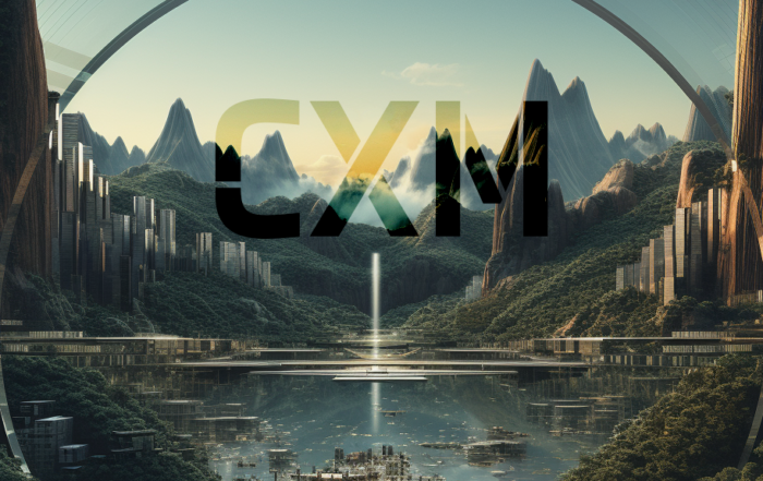 the rise of CXM CXM