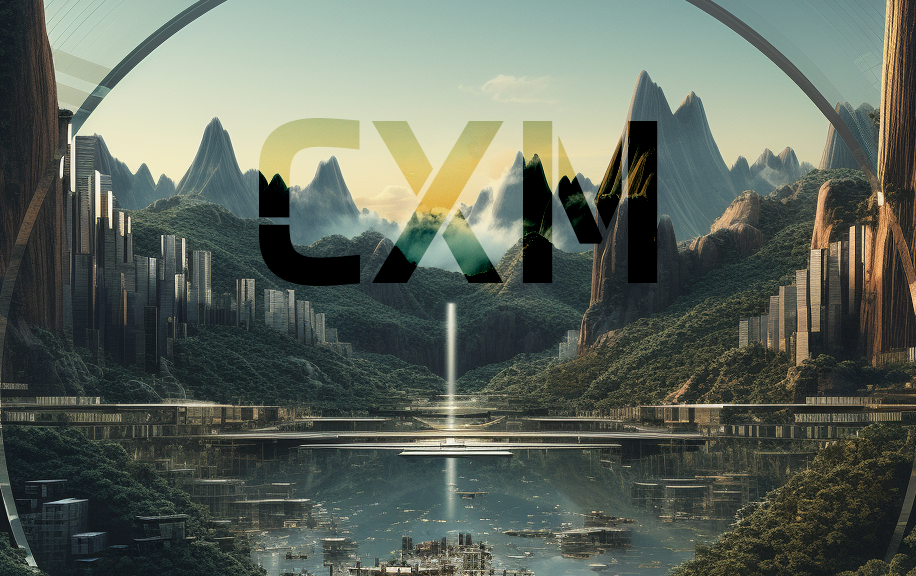 the rise of CXM CXM